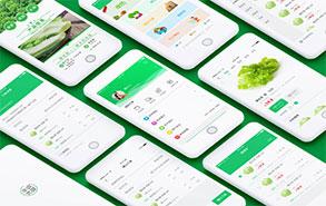 郑州APP开发公司外包